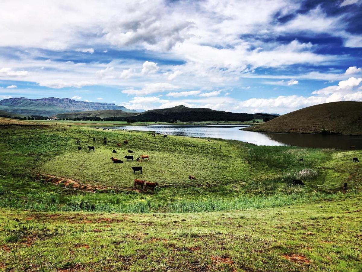 Lake Glencairn Underberg Bagian luar foto